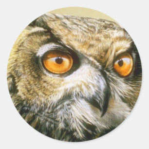 Great-Horned-Owl Classic Round Sticker