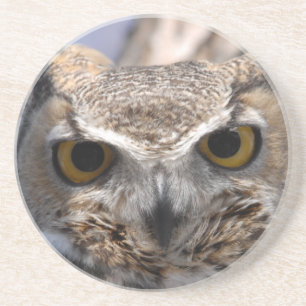 Great Horned Owl Coaster
