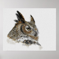 Great Horned Owl Drawing