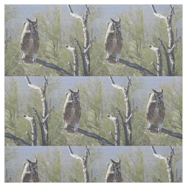Great Horned Owl Fabric (Swatch)