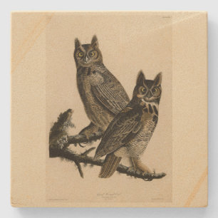 Great Horned Owl from Audubon's Birds of America Stone Coaster