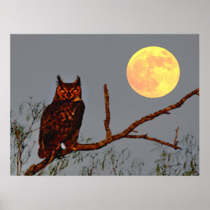 Great Horned Owl Full Moon Poster