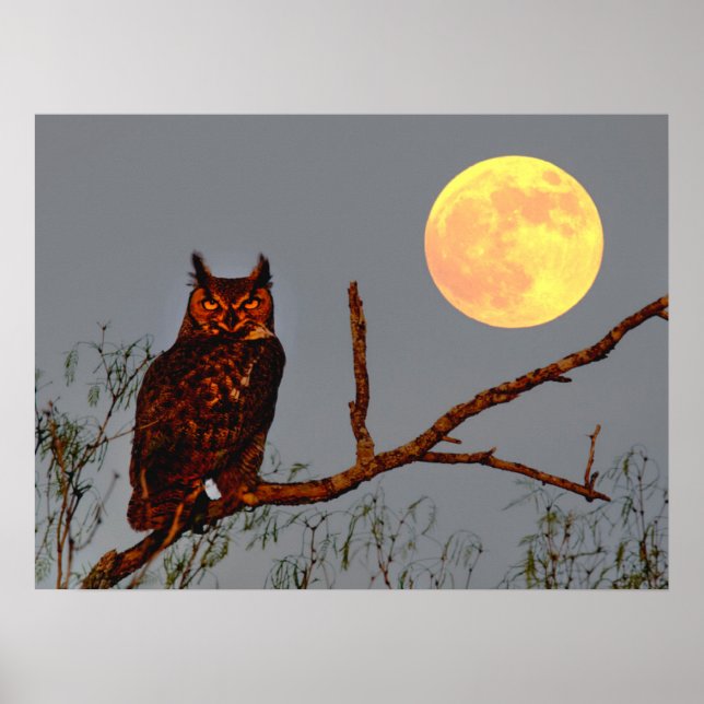 Great Horned Owl | Full Moon Poster (Front)