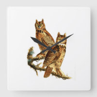 Great Horned Owl - Hoot Owl