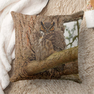 Great Horned Owl in the Douglas Fir Cushion