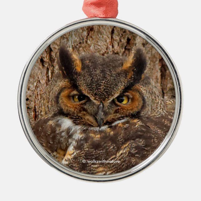 Great Horned Owl in the Douglas Fir Metal Ornament (Front)