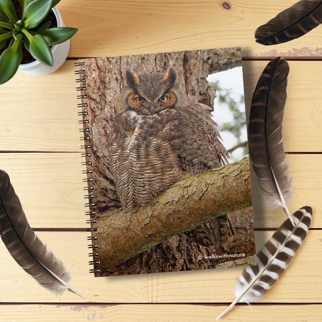Great Horned Owl in the Douglas Fir Notebook (Great Horned Owl in a Douglas Fir Journal Cover Photo)