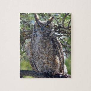 Great Horned Owl in the Tree Jigsaw Puzzle