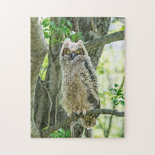 Great Horned Owl Jigsaw Puzzle
