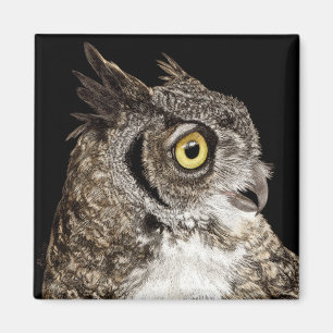 Great-Horned Owl Magnet