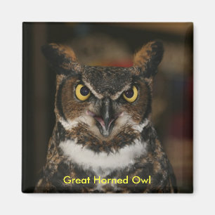 Great Horned Owl Magnet