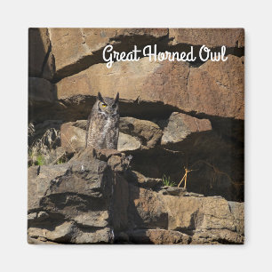 Great Horned Owl Magnet