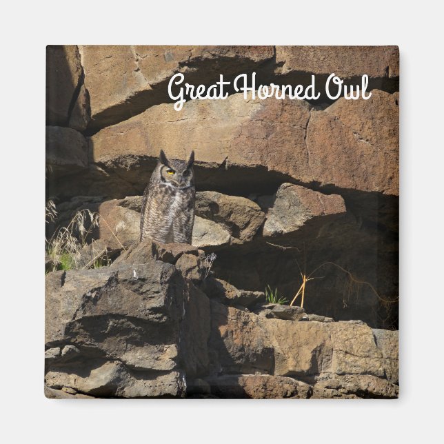 Great Horned Owl Magnet (Front)