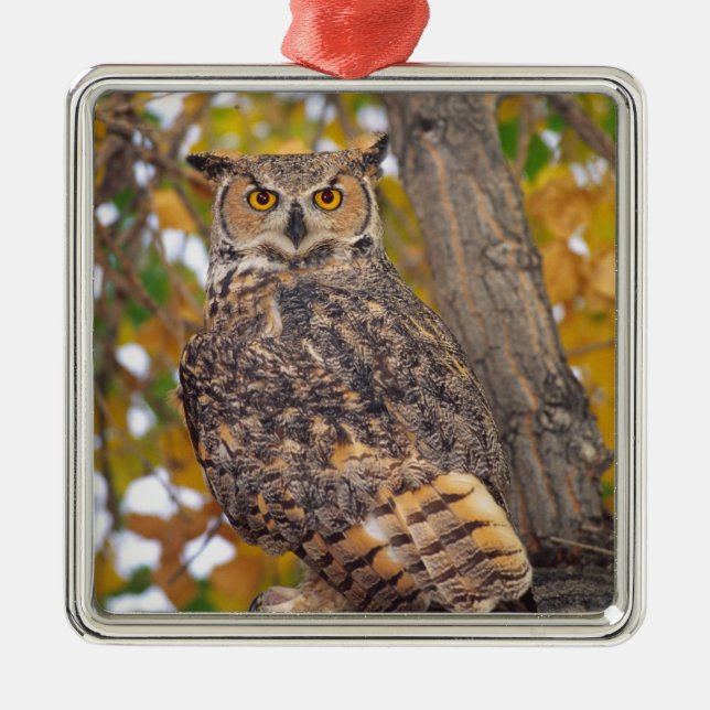 Great Horned Owl Metal Ornament (Front)