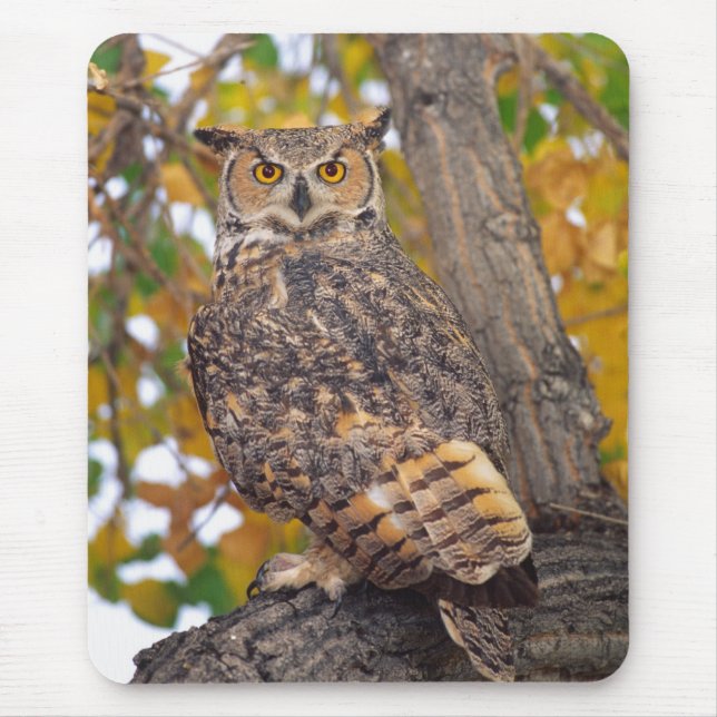 Great Horned Owl Mouse Pad (Front)