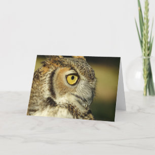 Great Horned Owl Notecard