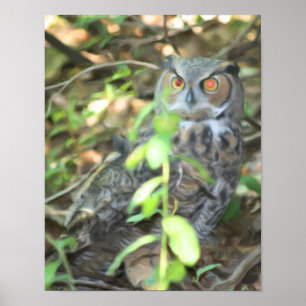 Great Horned Owl Oil Photo Painting Poster