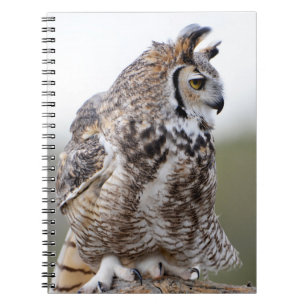 Great Horned Owl Photo 9x6 Notebook