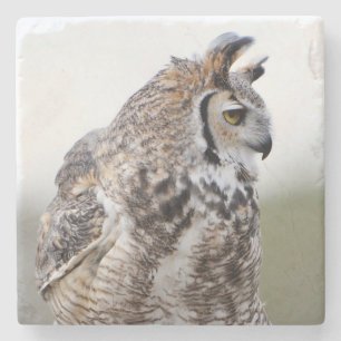 Great Horned Owl Photo Coaster