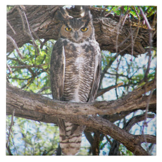 Great Horned Owl  Photo design CeramicTile Tile