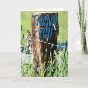 Great Horned Owl Photo Thank You Card