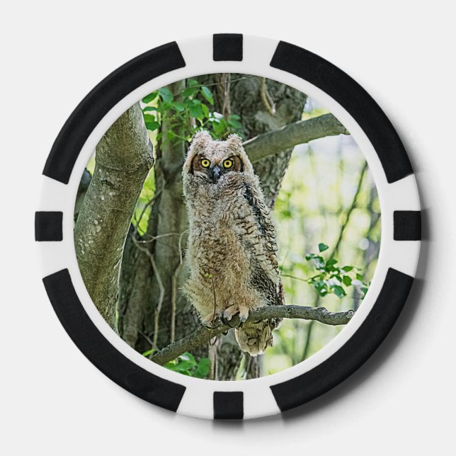 Great Horned Owl Poker Chips (Front)
