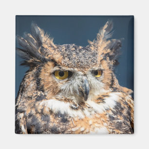 Great Horned Owl Portrait Magnet