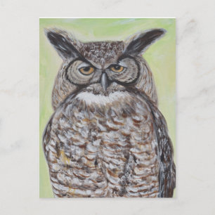 Great Horned Owl Postcard