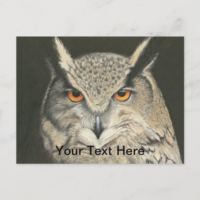 Great Horned Owl Postcard (Front)