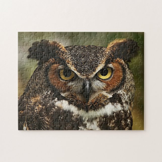 Great Horned Owl Puzzle (Horizontal)