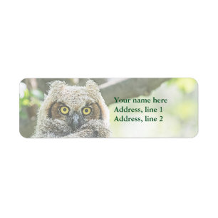 Great Horned Owl Return Address Label