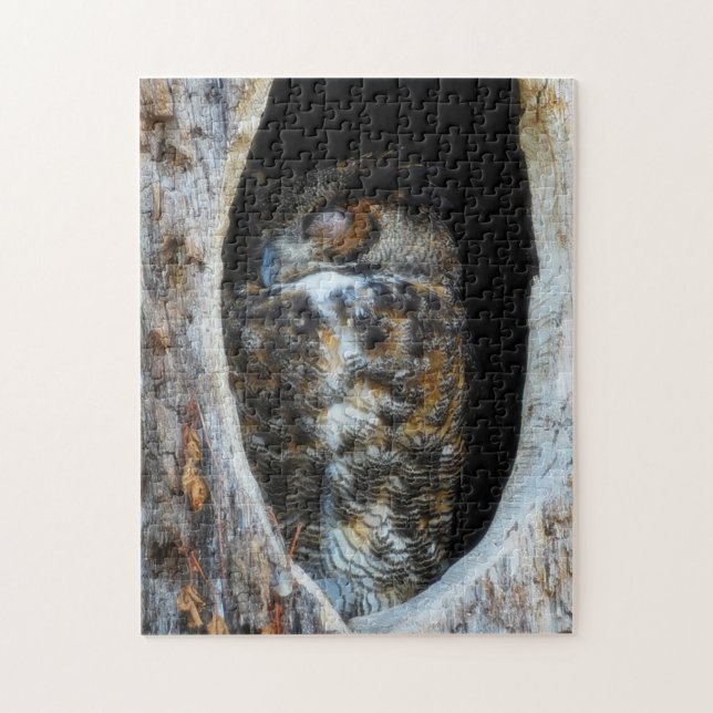 Great Horned Owl Sleeping In A Tree Hollow Jigsaw Puzzle (Vertical)