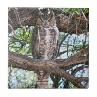 Great Horned Owl small Ceramic Photo Tile