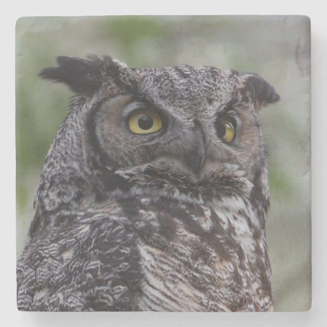 Great Horned Owl Stone Coaster (Front)
