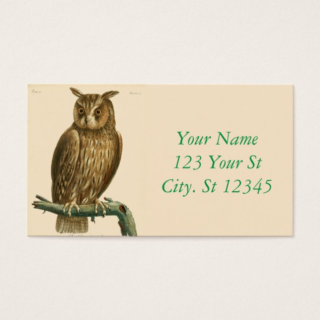 Great Horned Owl Thunder_Cove (Front)
