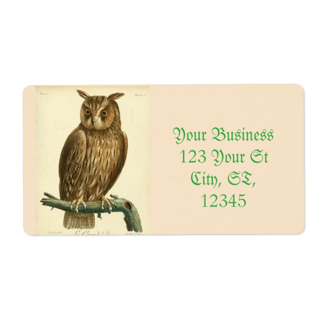 Great Horned Owl Thunder_Cove (Front)