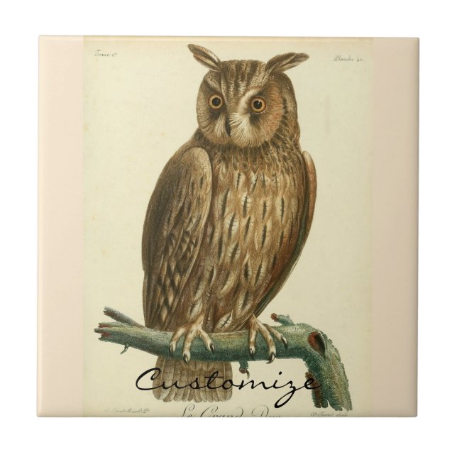 Great Horned Owl Thunder_Cove Ceramic Tile (Front)