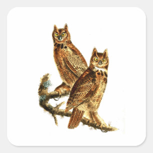 Great Horned Owl - Vintage Hoot Owls Square Sticker