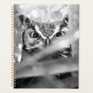 Great Horned Owl – Wildlife Bird Nature Art Print Planner