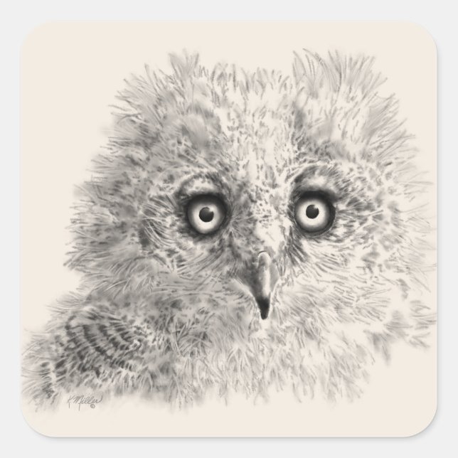 Great Horned Owlet Drawing Square Sticker (Front)
