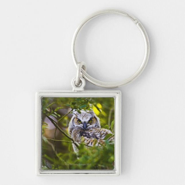 Great Horned Owlet Key Ring (Front)