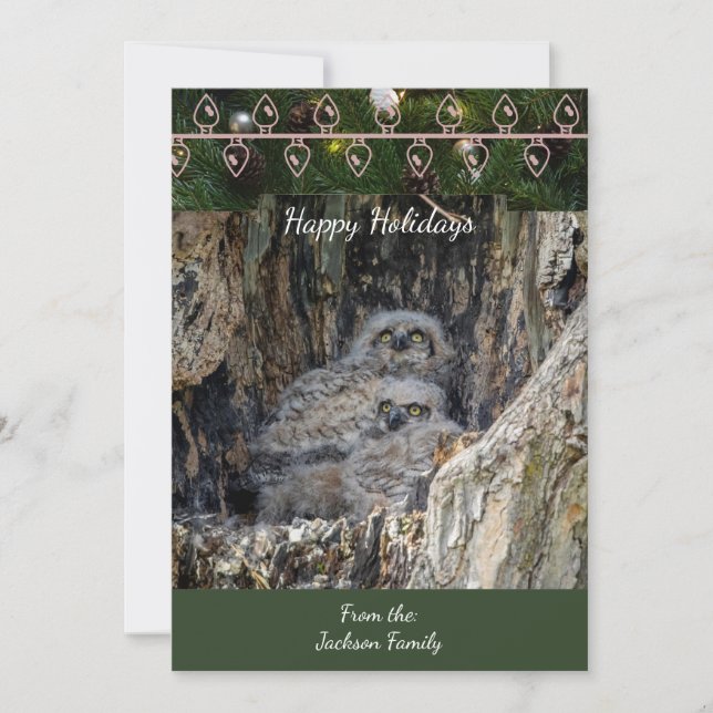 Great Horned Owls  Christmas Card (Front)