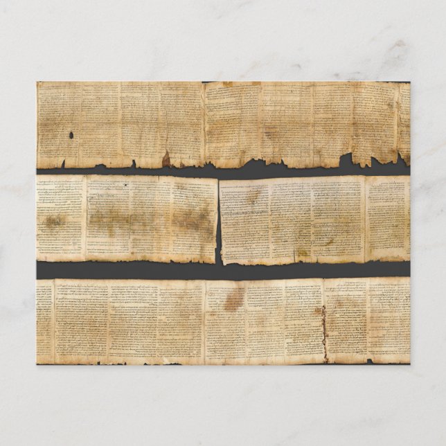 Great Isaiah Scroll Dead Sea Scrolls 1QIsaa Postcard (Front)