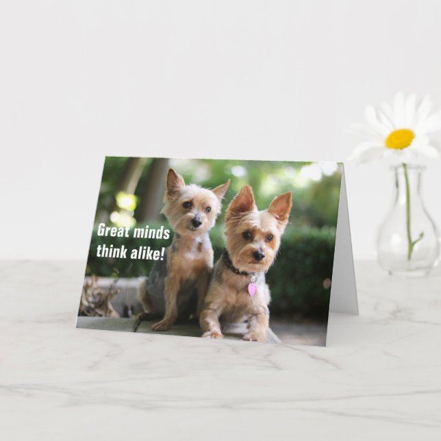 Great Minds Think Alike, That's Why We Get Along! Card (Small Plant)