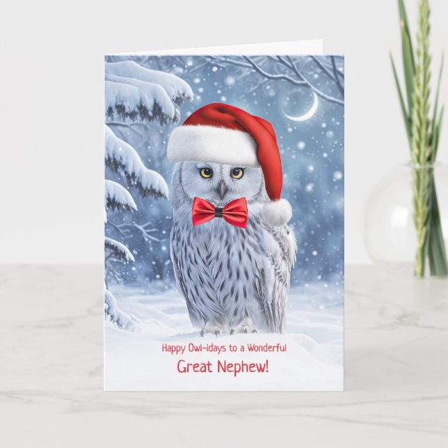 Great Nephew or Grandnephew Happy Holidays Owl Card (Front)