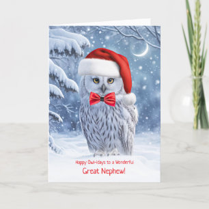 Great Nephew or Grandnephew Happy Holidays Owl Card
