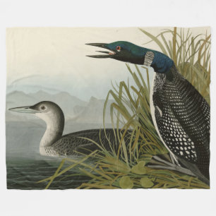 Great Northern Diver Loon Audubon Birds of America Fleece Blanket