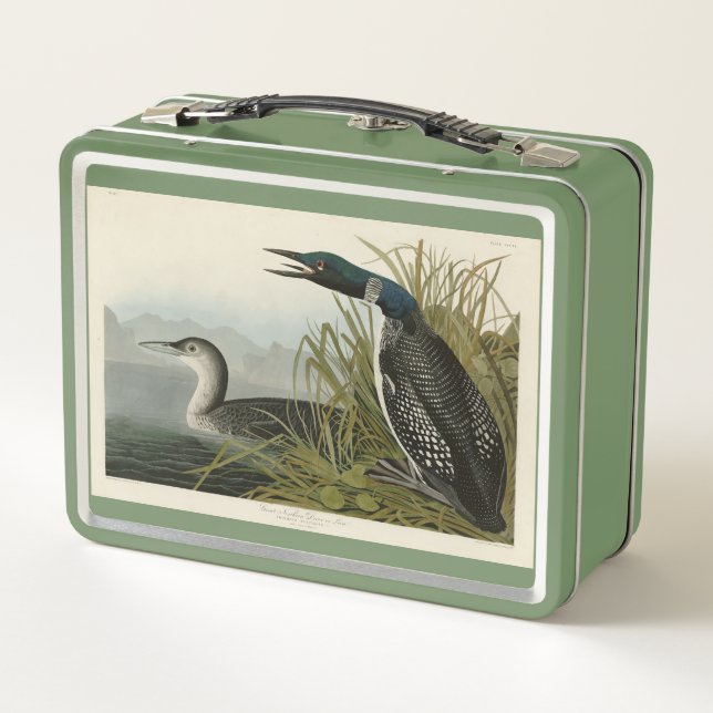 Great Northern Diver Loon Audubon Birds of America Metal Lunch Box (Back)