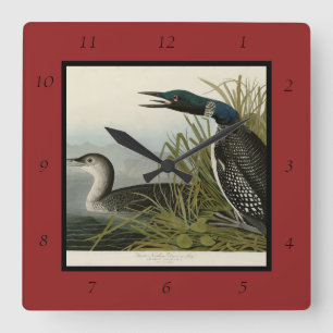 Great Northern Diver Loon Audubon Birds of America Square Wall Clock