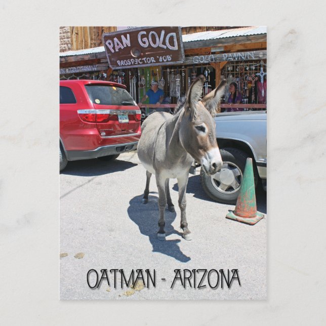 Great Oatman Postcard! Postcard (Front)